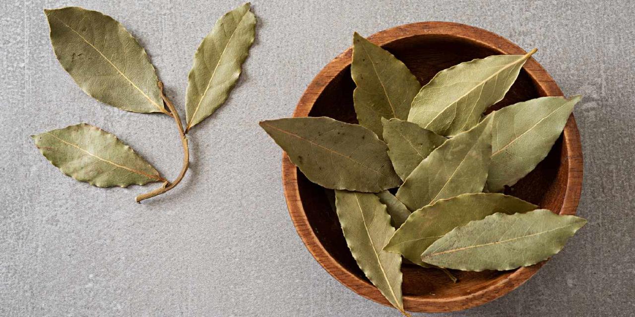 The Ultimate Guide to Bay Leaf Alternatives for Delicious Dishes