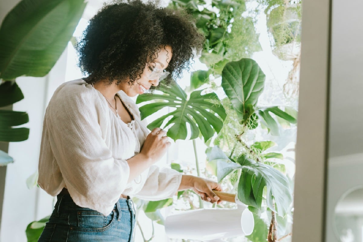 Top 5 Indoor Plants for Beginner Plant Parents