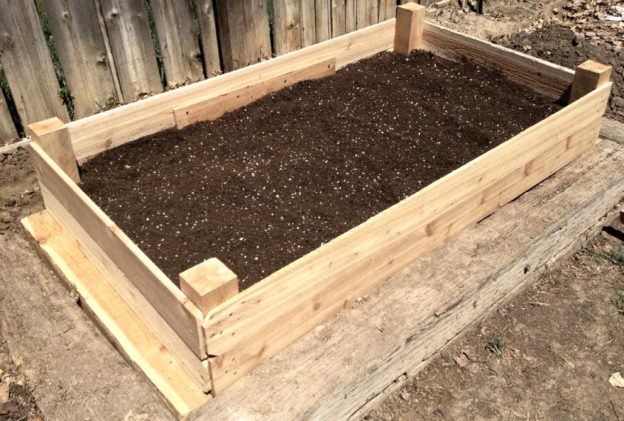 Why Some Vegetables Don’t Thrive in Raised Beds